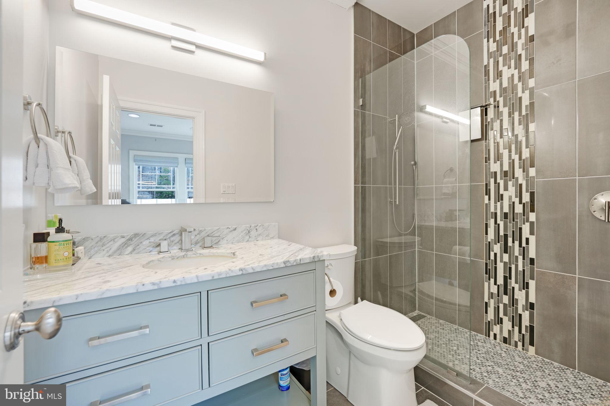 492 River Bend Road Great Falls, VA 22066 - Photo 37 of 68 Bathroom