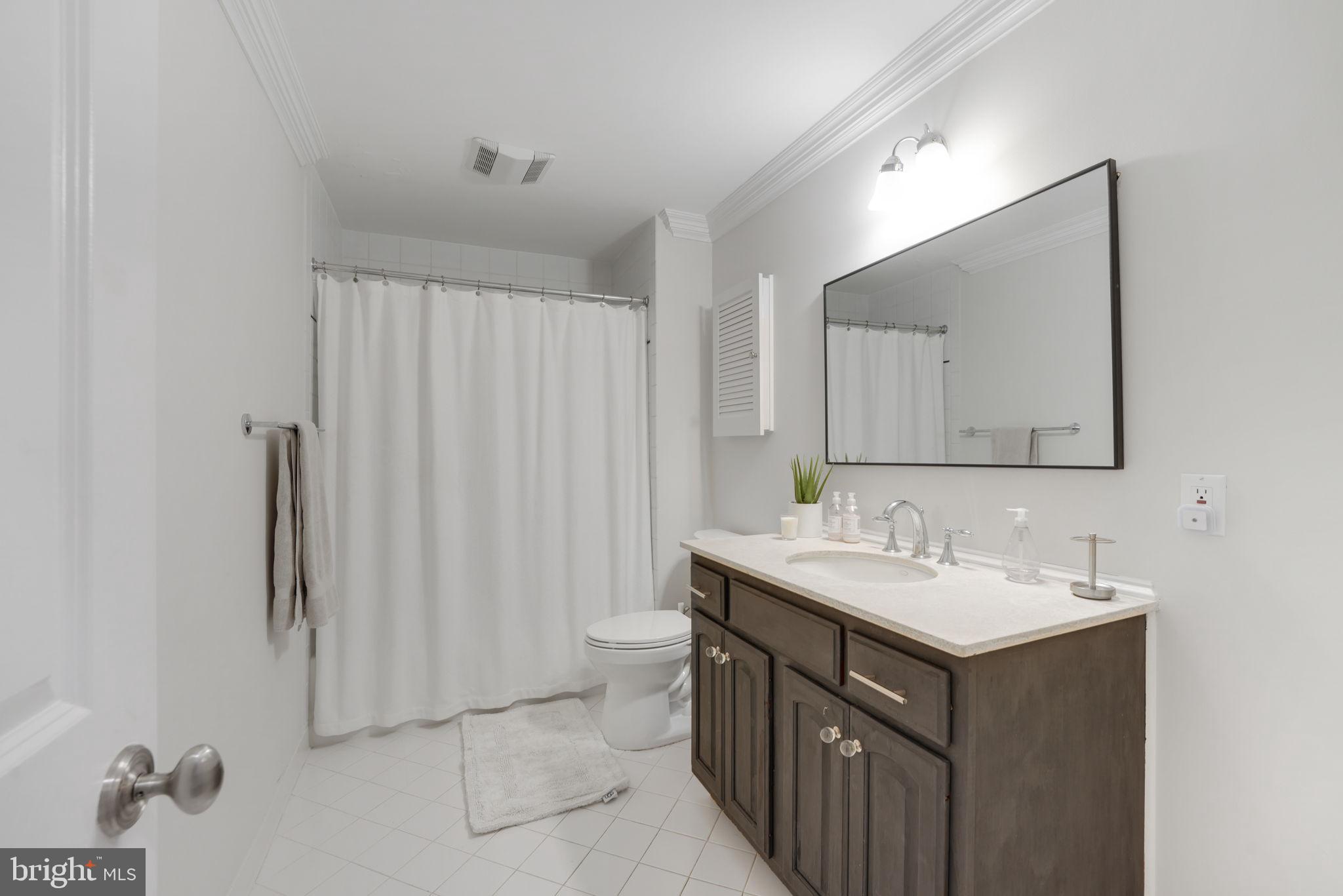 492 River Bend Road Great Falls, VA 22066 - Photo 49 of 68 Lower Level full bath