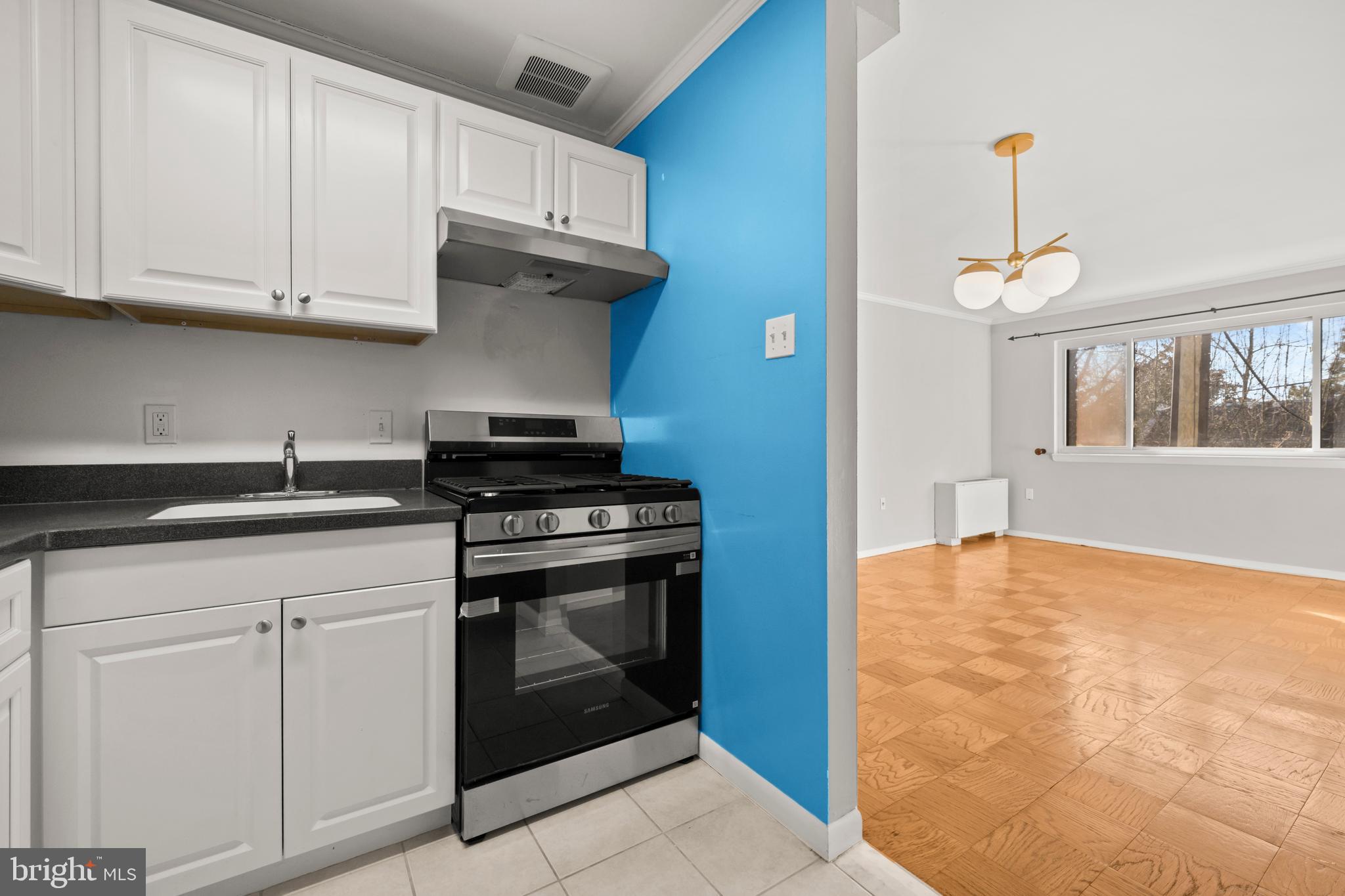 4555 MacArthur Boulevard Northwest, Unit 202 Washington, DC 20007 - Photo 10 of 27 a kitchen with stainless steel appliances granite countertop a stove a sink and a microwave