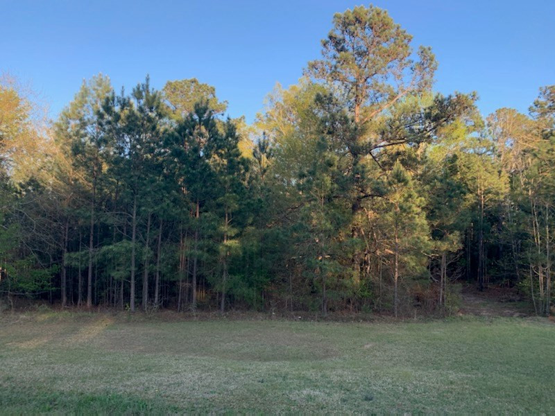 Tbd Louisville Road Harlem, GA 30814 - Photo 2 of 2
