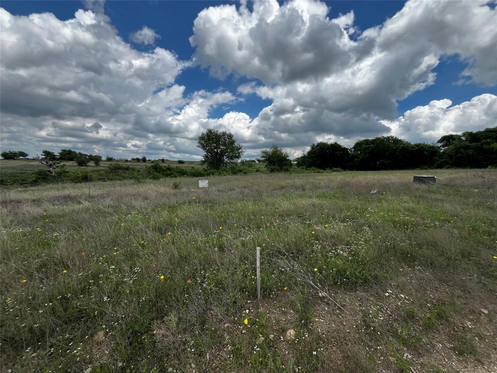 Lot 65 Longview Creek Ranch Trail Itasca, TX 76055 - Photo 8 of 9 a view of a yard