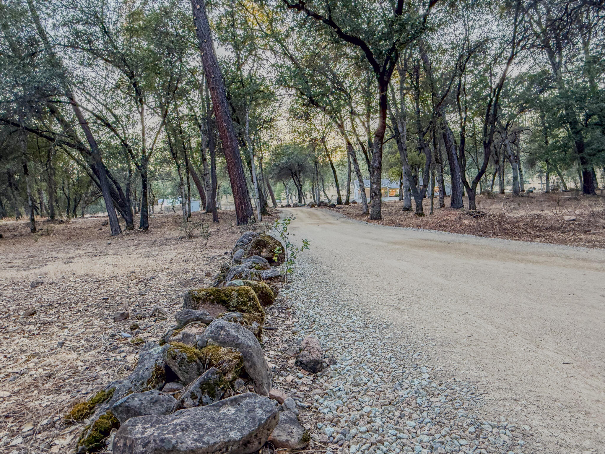 14150 Bear Mountain Road Redding, CA 96003 - Photo 20 of 47 bear mountain-55
