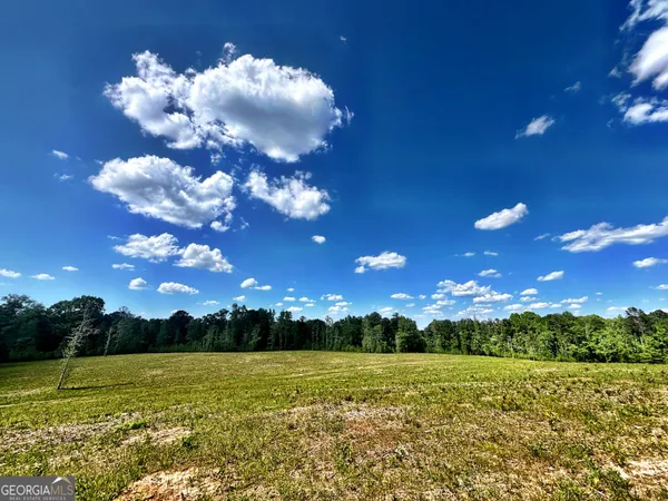 $324,000 | O Wilson Way, Musella, GA 31066