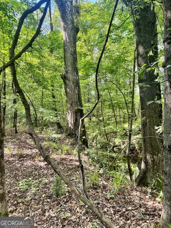 $324,000 | O Wilson Way, Musella, GA 31066