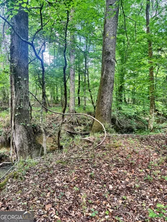 $324,000 | O Wilson Way, Musella, GA 31066