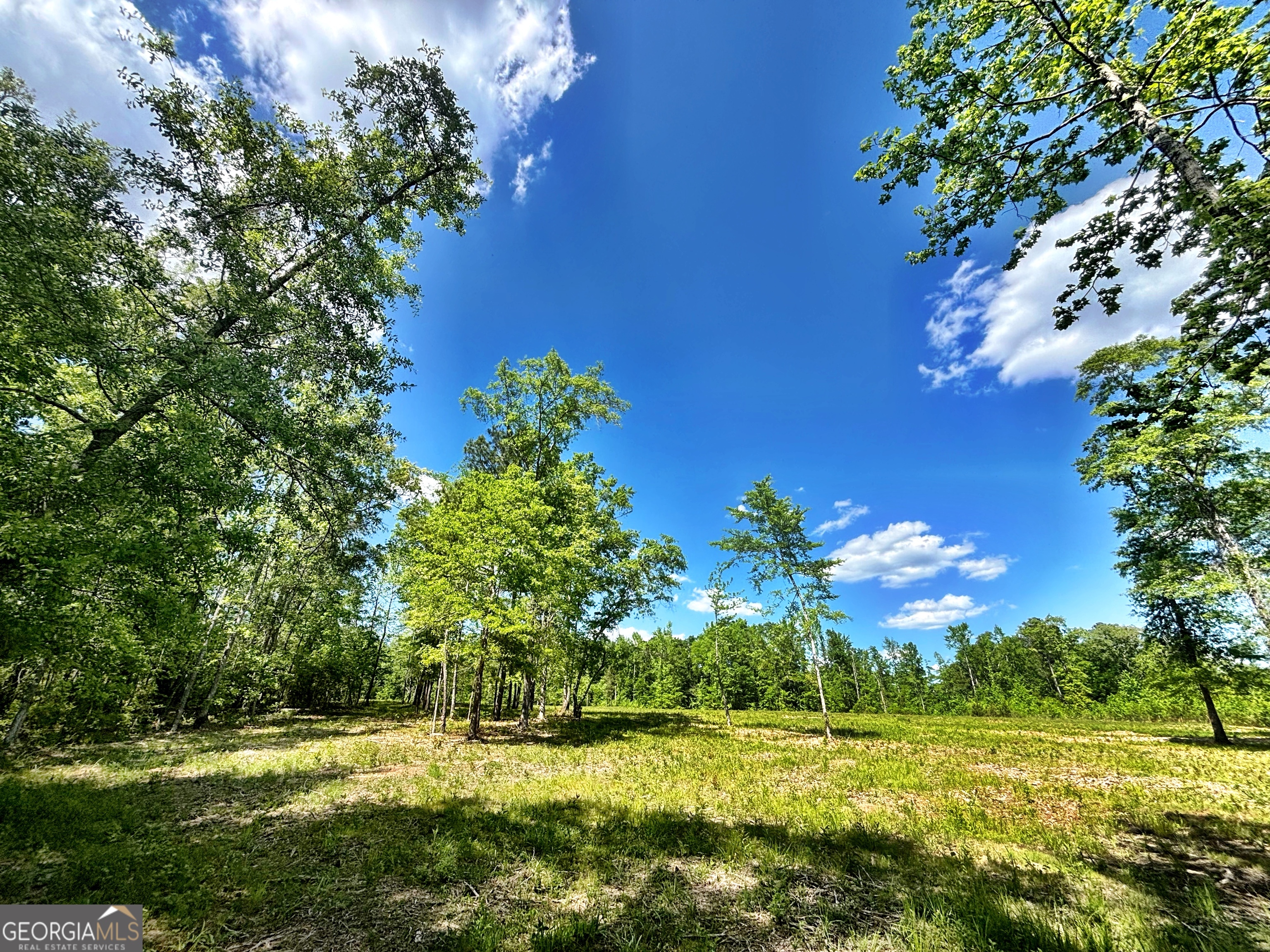 0 Wilson Way Musella, GA 31066 - Photo 3 of 15