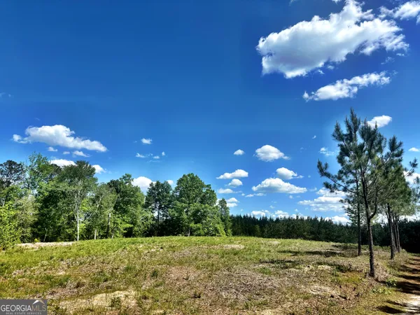 $324,000 | O Wilson Way, Musella, GA 31066
