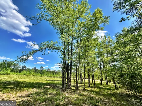 $324,000 | O Wilson Way, Musella, GA 31066