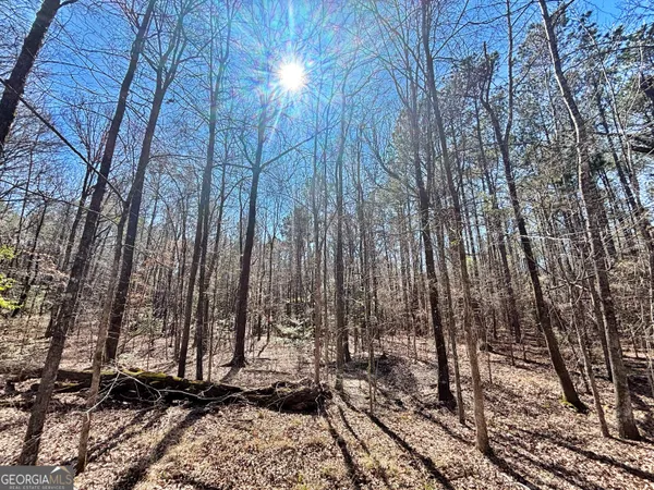 $324,000 | O Wilson Way, Musella, GA 31066