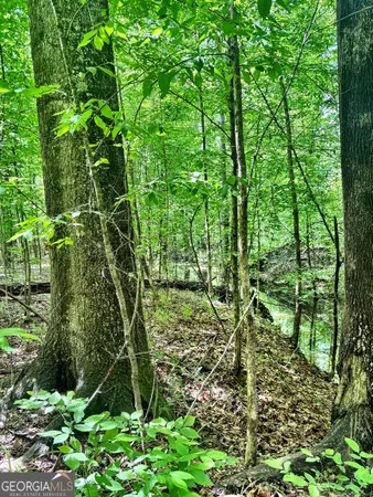 $324,000 | O Wilson Way, Musella, GA 31066