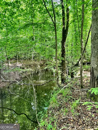 $324,000 | O Wilson Way, Musella, GA 31066