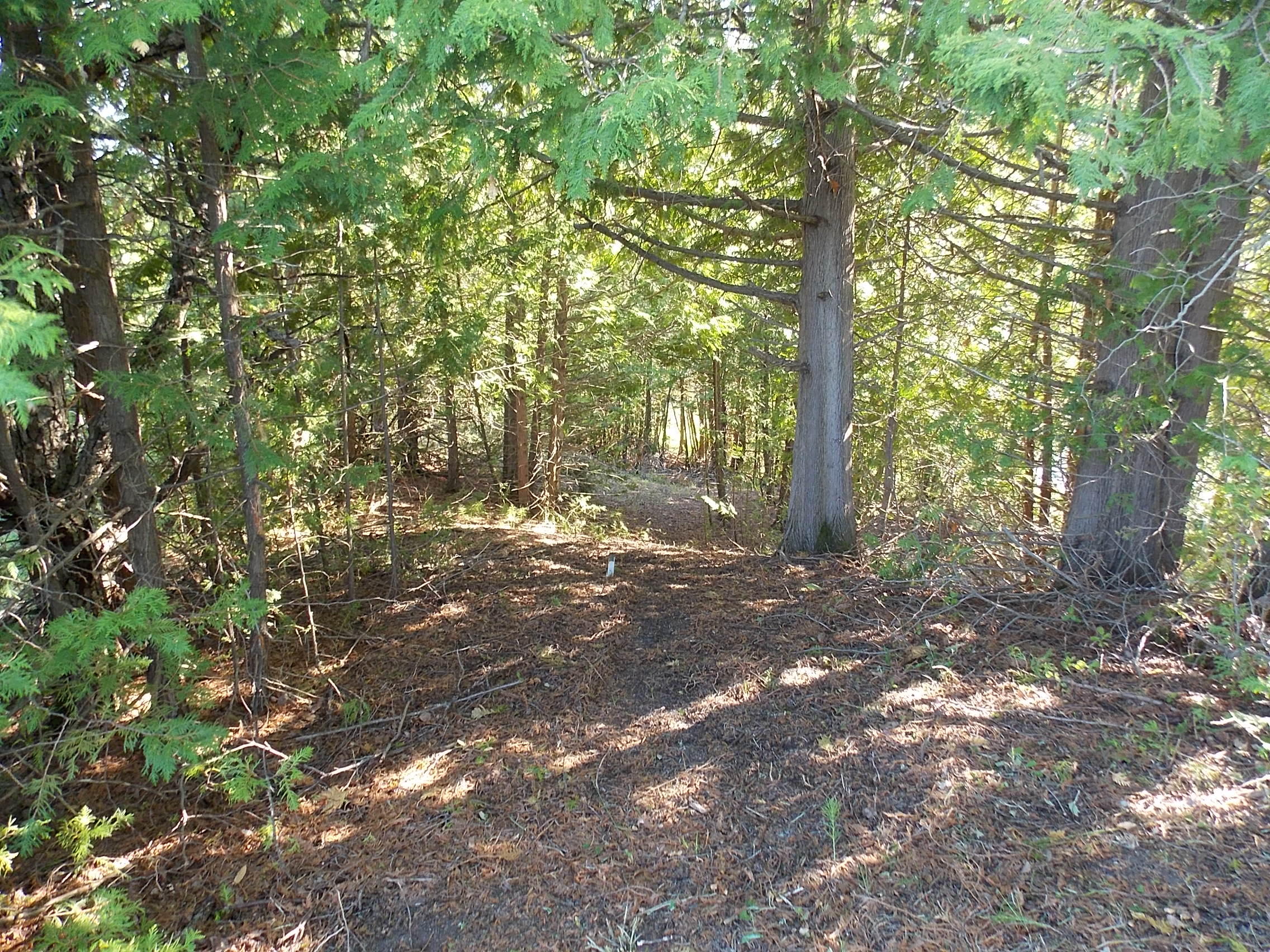 8491 North Black River Road Cheboygan, MI 49721 - Photo 16 of 22 Gallery Image 16