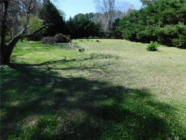 a view of a green yard