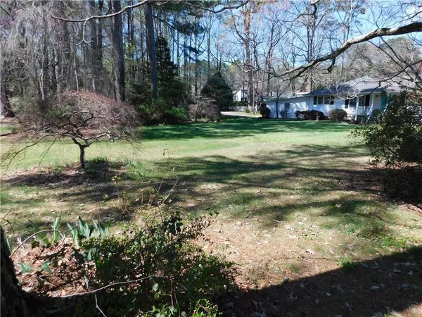 a view of a yard with plants and trees