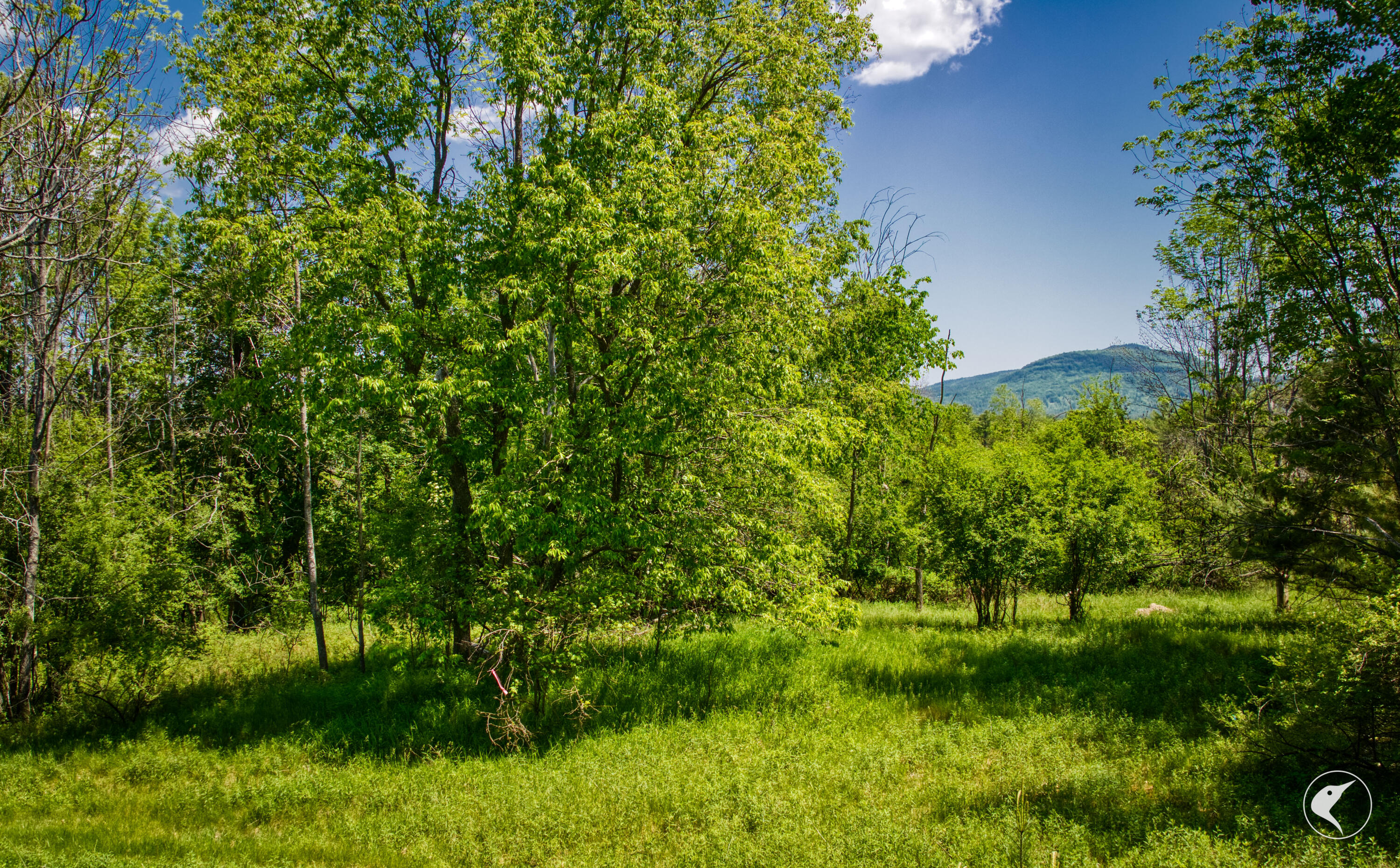 569 Stickney Bridge Road Jay, NY 12941 - Photo 3 of 23 Gallery Image 3