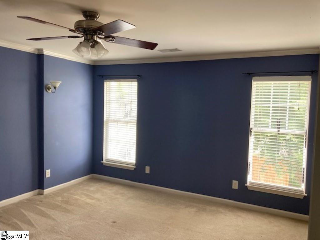 166 Spring Crossing Circle Greer, SC 29650 - Photo 18 of 22