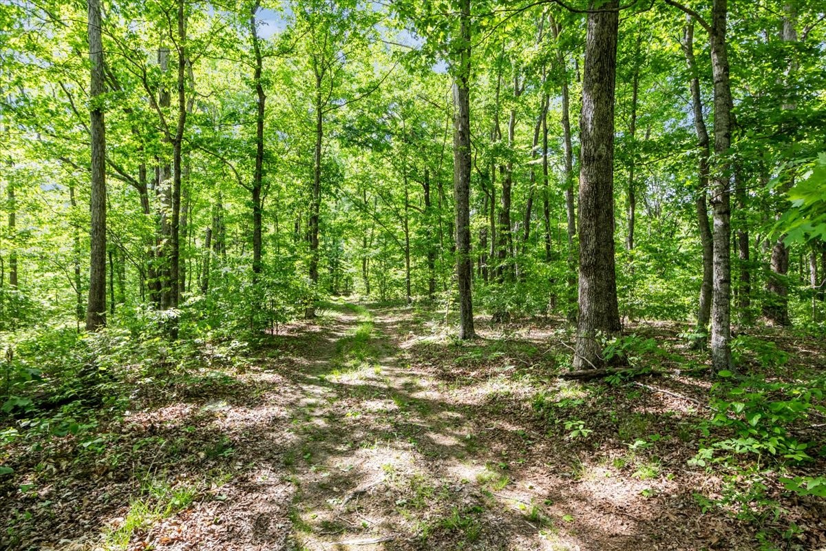 6130 Clydeton Road Waverly, TN 37185 - Photo 73 of 92 Gallery Image 73
