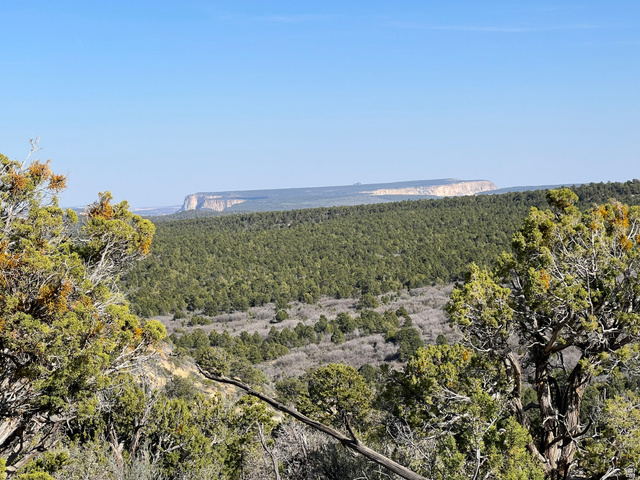 38 Broken Branch Road, Unit 38 Kanab, UT 84741 - Photo 27 of 53 Expansive natural landscape featuring evergreen trees and distant mesa formations under a clear sky