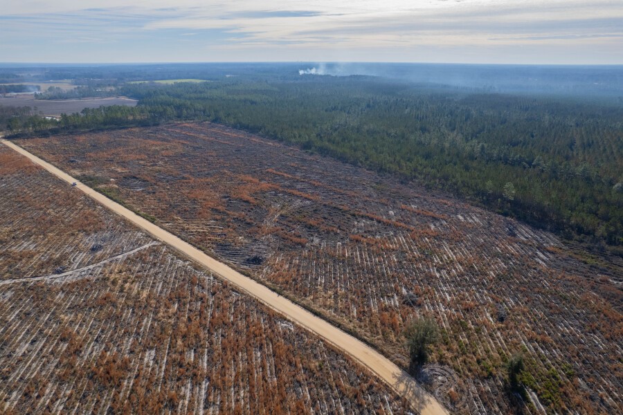 5 Morris Break Road Odum, GA 31555 - Photo 11 of 13