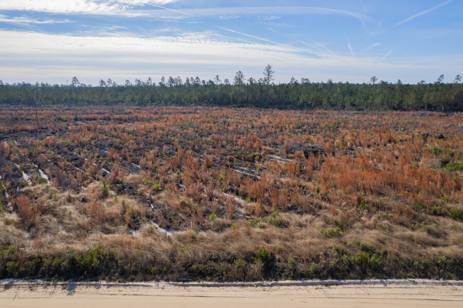 5 Morris Break Road Odum, GA 31555 - Photo 12 of 13