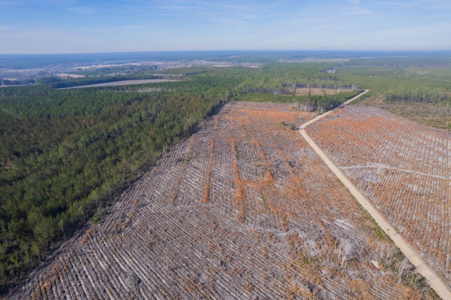 5 Morris Break Road Odum, GA 31555 - Photo 2 of 13