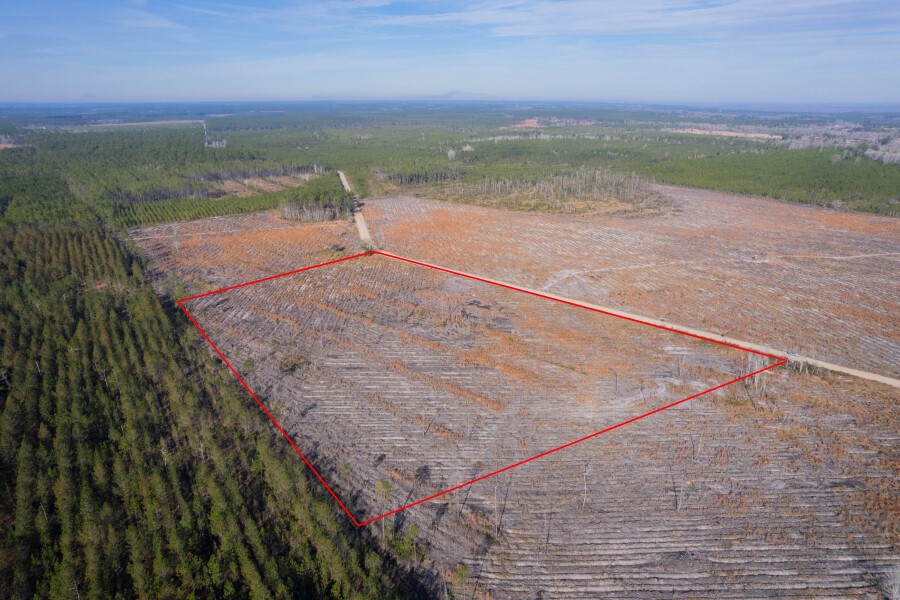 5 Morris Break Road Odum, GA 31555 - Photo 3 of 13