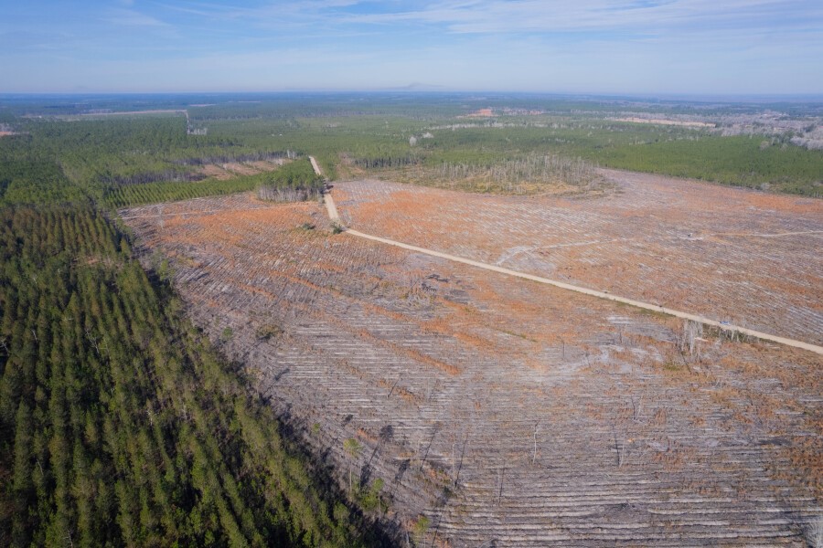 5 Morris Break Road Odum, GA 31555 - Photo 4 of 13