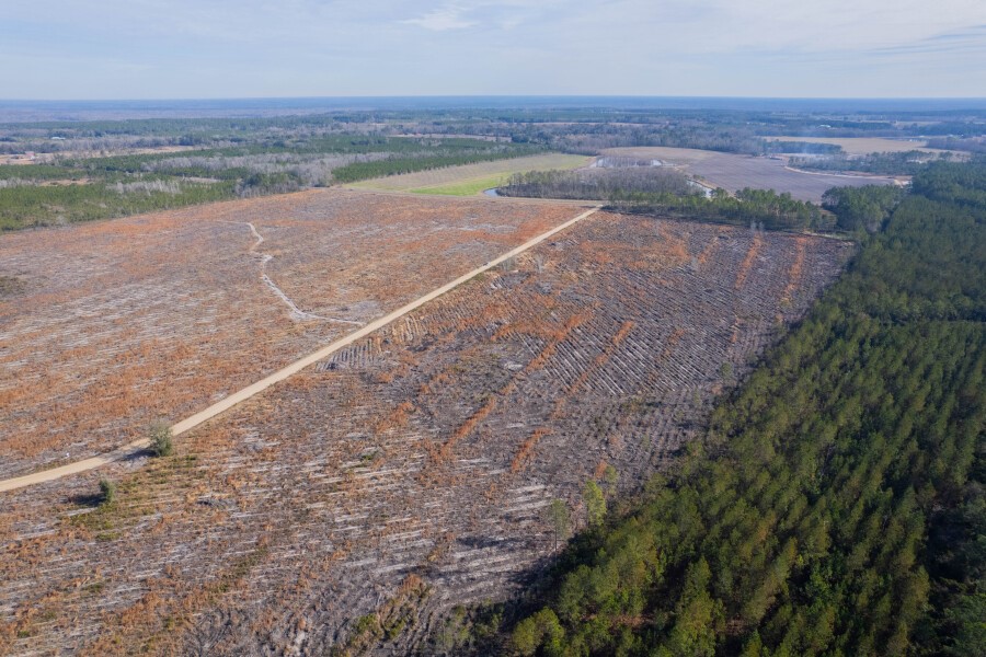 5 Morris Break Road Odum, GA 31555 - Photo 7 of 13