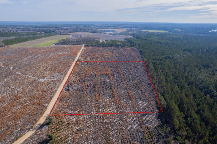 5 Morris Break Road Odum, GA 31555 - Photo 8 of 13