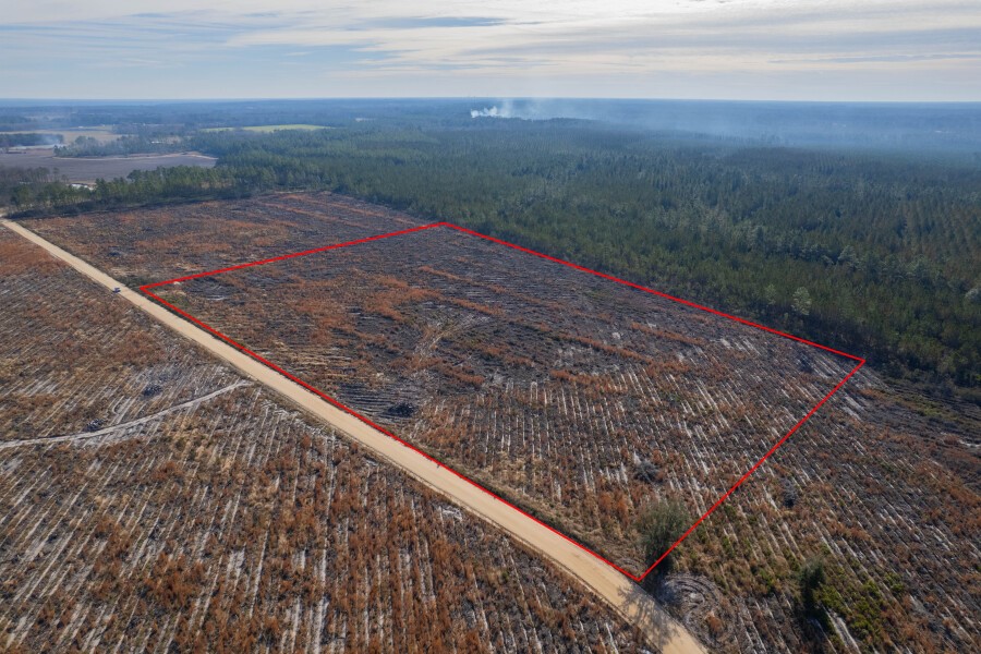 5 Morris Break Road Odum, GA 31555 - Photo 10 of 13