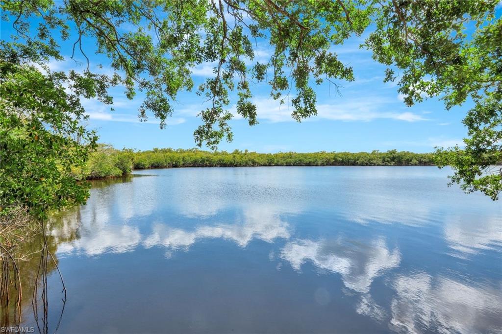 144 Wilderness Cay Naples, FL 34114 - Photo 41 of 42 a view of a lake from a yard