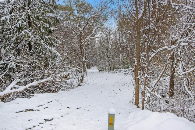 $14,000 | 57653 Red Arrow Highway, Lawrence, MI 49064