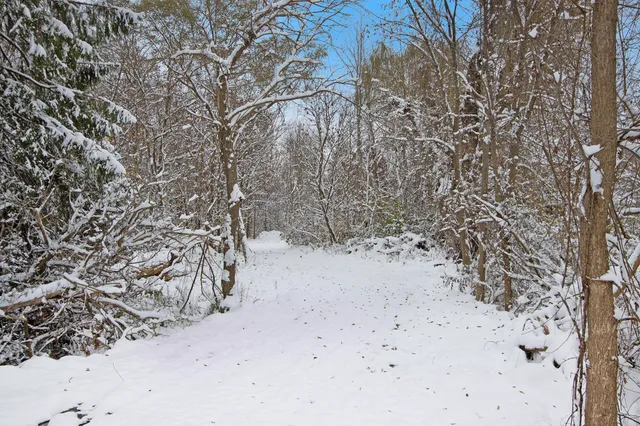 $14,000 | 57653 Red Arrow Highway, Lawrence, MI 49064