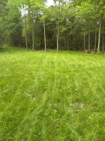 $14,000 | 57653 Red Arrow Highway, Lawrence, MI 49064