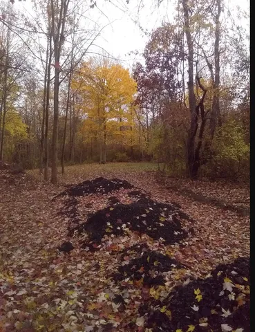 $14,000 | 57653 Red Arrow Highway, Lawrence, MI 49064