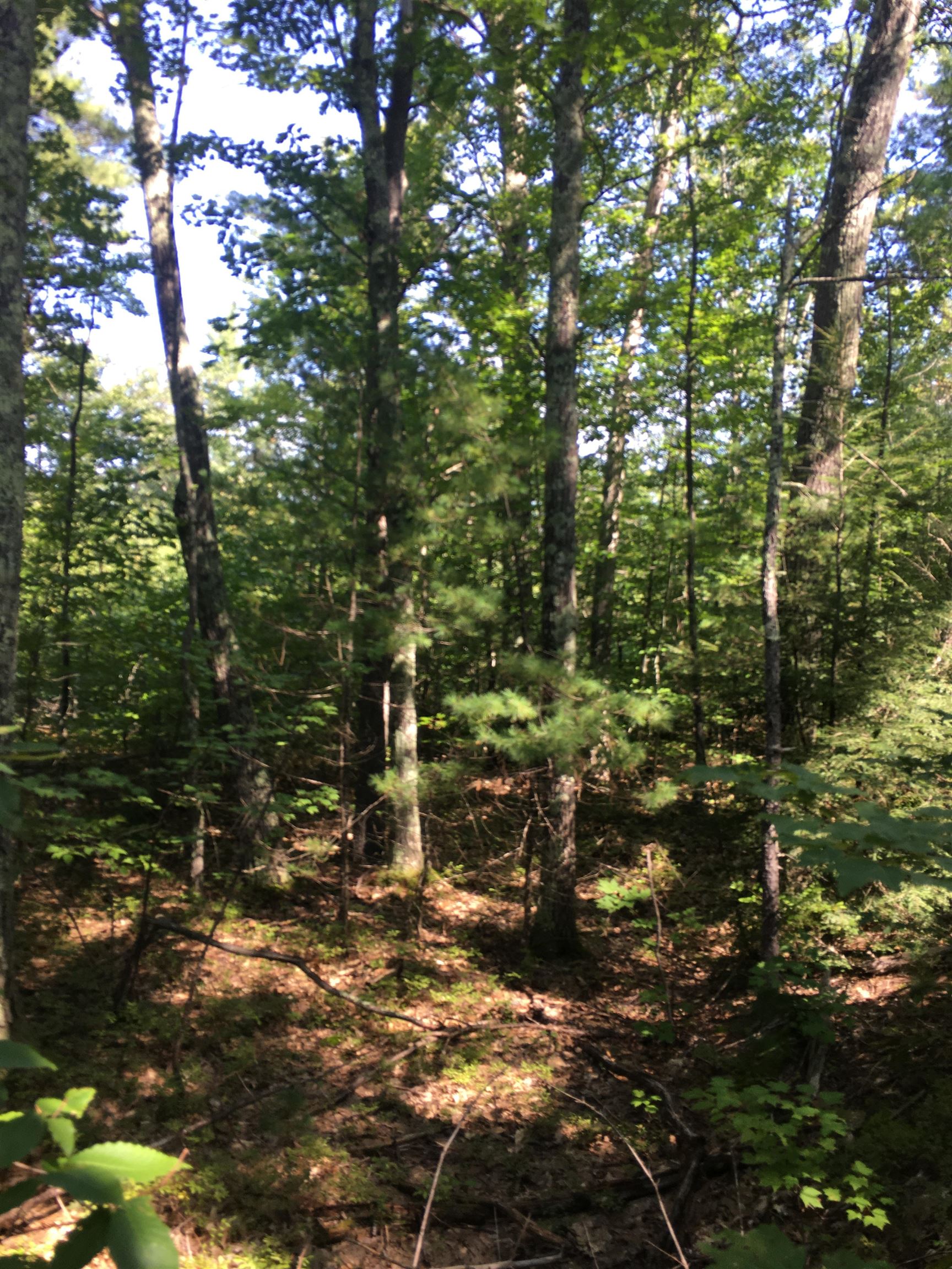 89 Montgomery Road Franklin, NH 03235 - Photo 15 of 19 Gallery Image 15