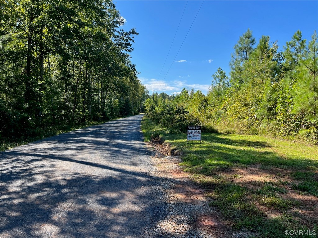 0 Red Road Dillwyn, VA 23936 - Photo 7 of 8 Gallery Image 7