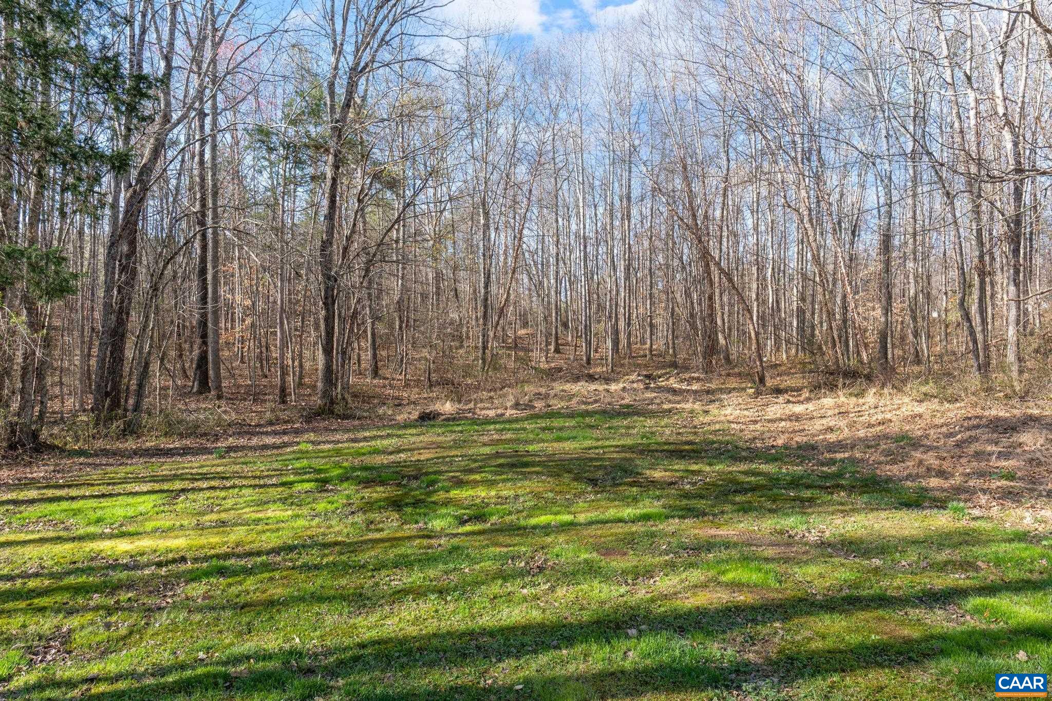 11527 South Constitution Route Scottsville, VA 24590 - Photo 7 of 38