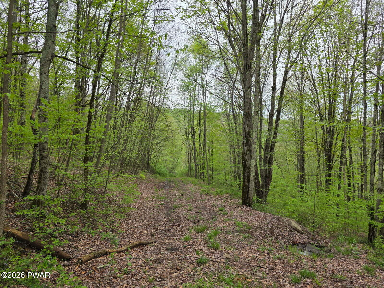 33 Bucks Road Susquehanna, PA 18847 - Photo 13 of 18