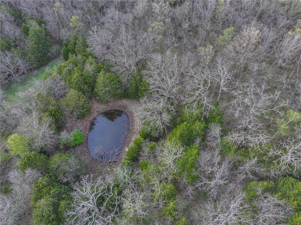 5855 Southeast 981 Pvt Road Collins, MO 64738 - Photo 42 of 52