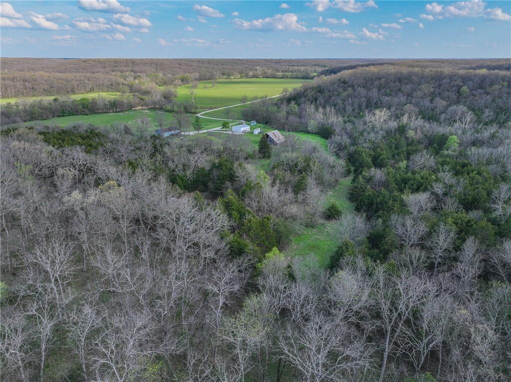 5855 Southeast 981 Pvt Road Collins, MO 64738 - Photo 49 of 52