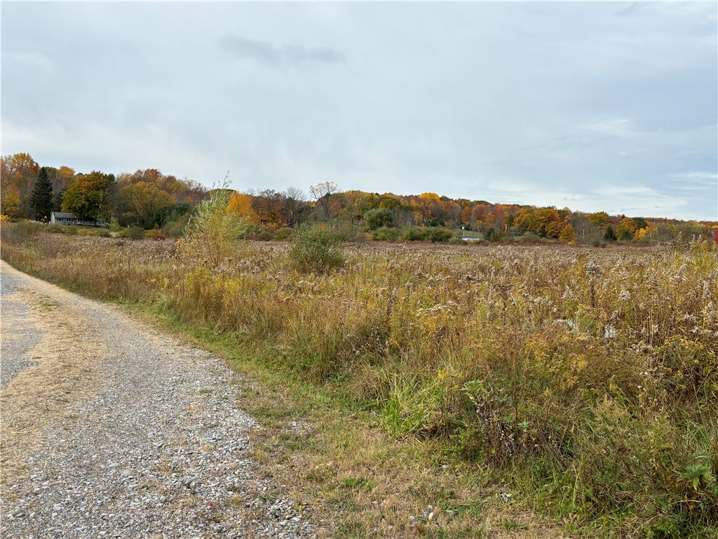 0 Conesus Springwater Road Conesus, NY 14435 - Photo 6 of 8