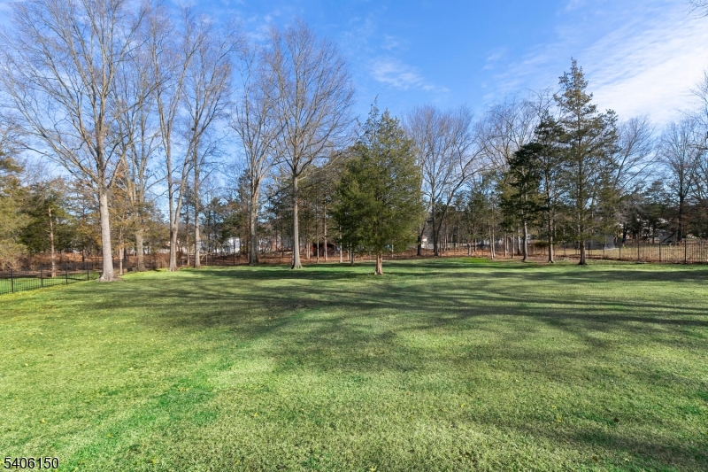 842 Madison Avenue Bridgewater, NJ 08807 - Photo 40 of 50 a huge green field with lots of trees