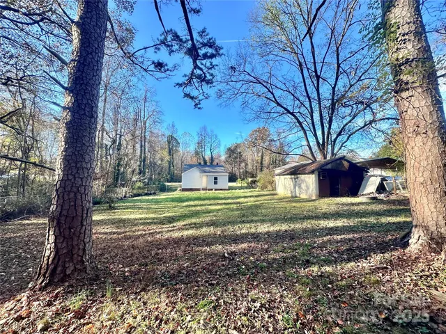 a view of a trees in the middle of a yard