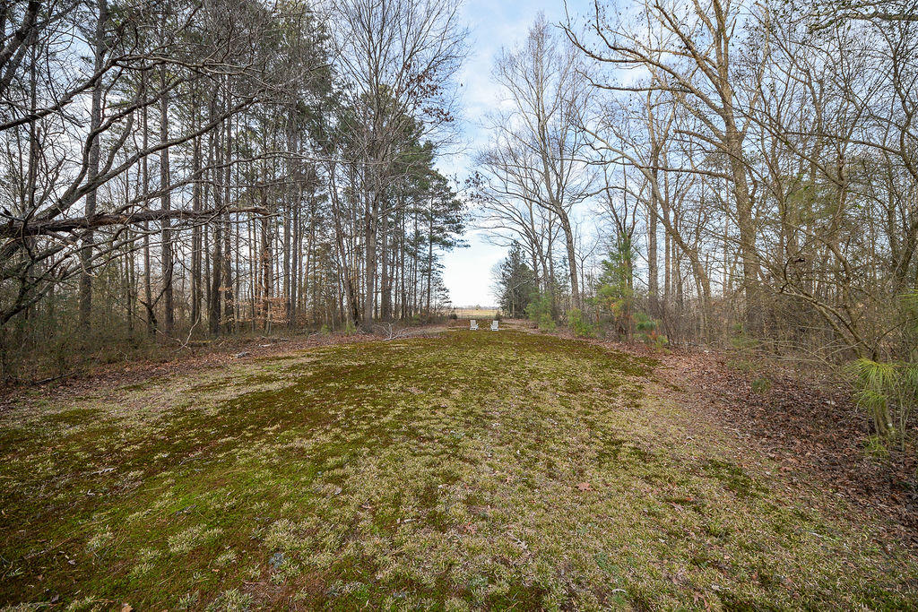 198 Samples Chapel Road Southeast Cleveland, TN 37323 - Photo 38 of 51 38
