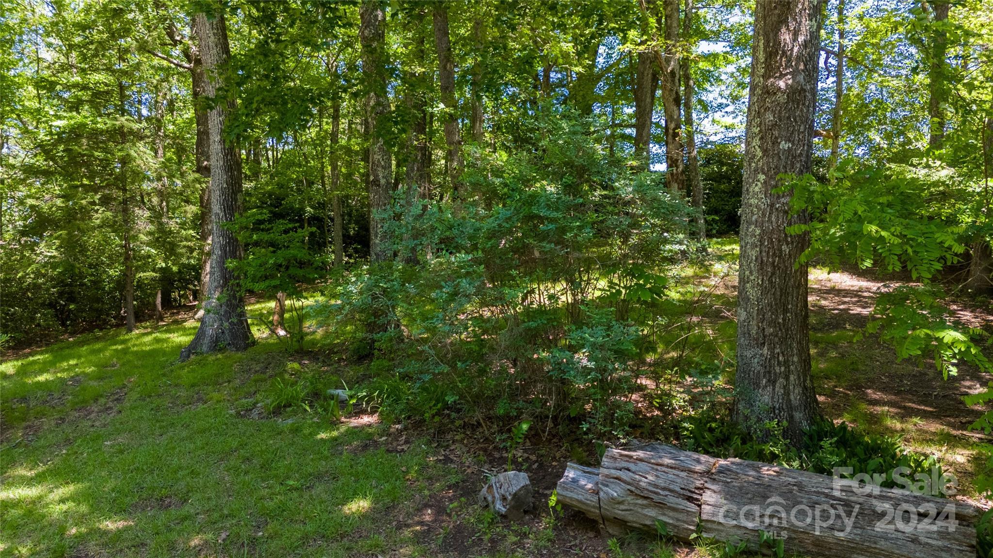 1457 Strawberry Ridge Road Spruce Pine, NC 28777 - Photo 11 of 44 Gallery Image 11