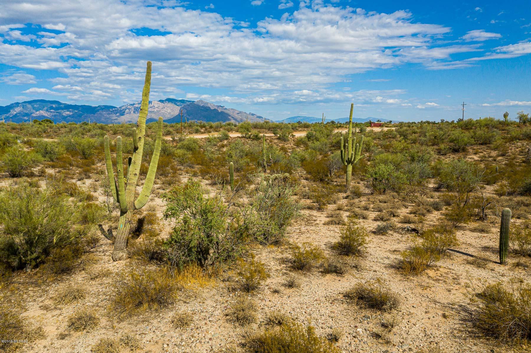 9741 North Blue Bonnet Road Tucson, AZ 85742 - Photo 41 of 46 Gallery Image 41