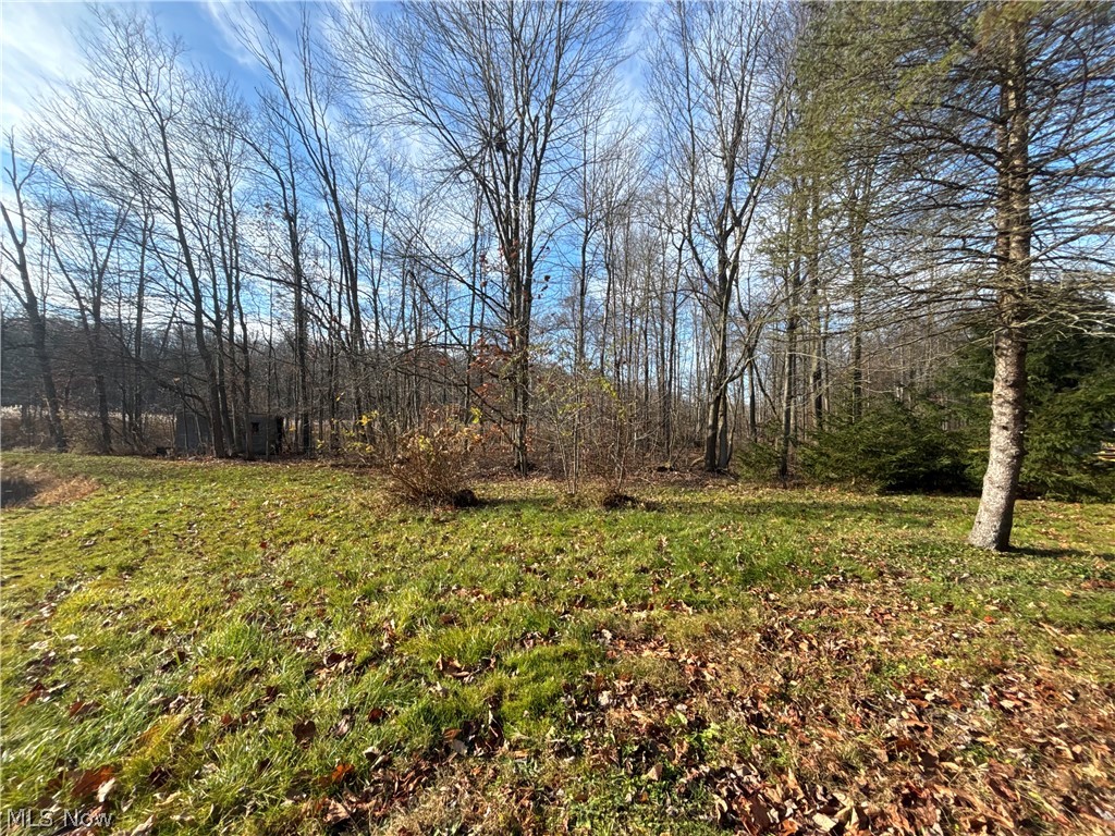 10775 Bell Road Newbury, OH 44065 - Photo 6 of 16