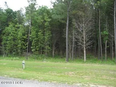 a backyard of a house with lots of green space and trees