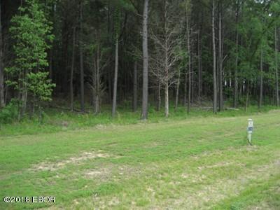 Lot 358 Parrish Ridge Lane Goreville, IL 62939 - Photo 5 of 9 a backyard of a house with lots of green space and trees
